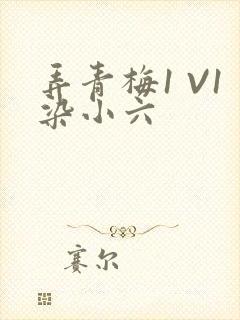 弄青梅1 V1染小六