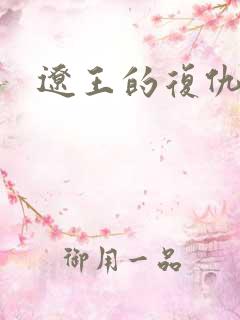 辽王的复仇小妾