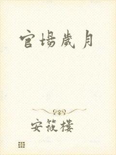 官场岁月