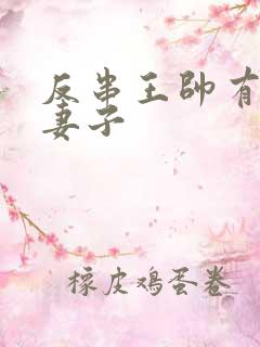 反串王帅有几任妻子