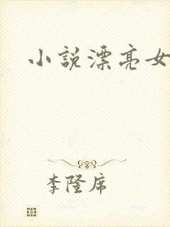 小说漂亮女局长