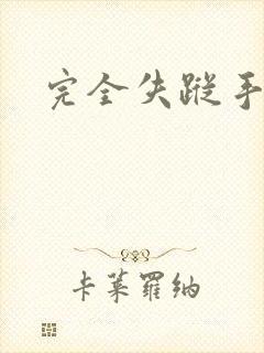 完全失踪手册
