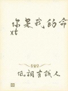 你是我的命运txt