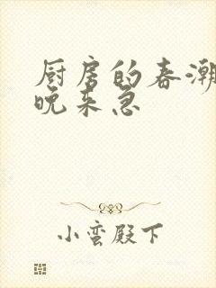 厨房的春潮带雨晚来急