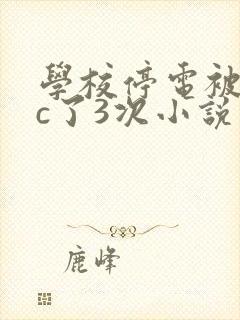 学校停电被同桌c了3次小说网
