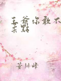 王爷你敢不敢温柔点