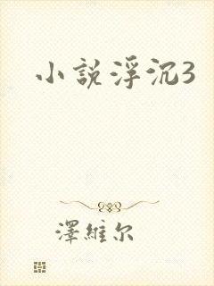 小说浮沉3