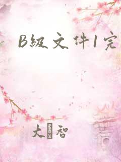 B级文件1完整