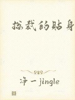 总裁的贴身冷秘