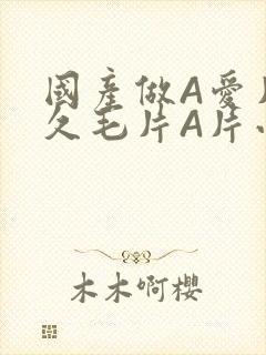 国产做A爱片久久毛片A片小说