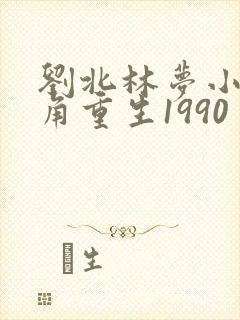 刘北林梦小说主角重生1990