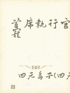 首席执行官的绝宠