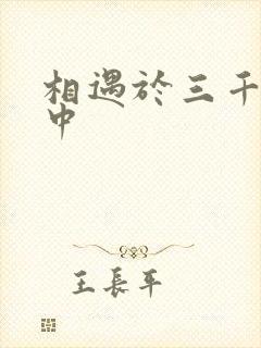 相遇于三千肉文中