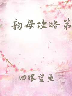 韵母攻略第二版