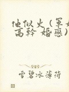 他似火 (军婚 高干 婚恋)