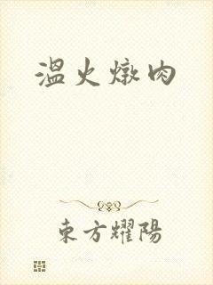 温火炖肉