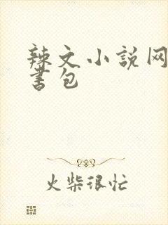辣文小说网第二书包