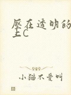 压在透明的玻璃上C