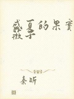 盛夏的果实 小薇子