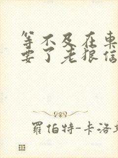 等不及在车里就要了老狼信息