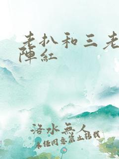 老扒和三老扒和阵红