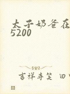 太子奶爸在花都5200