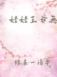 娃娃王爷无盐妃