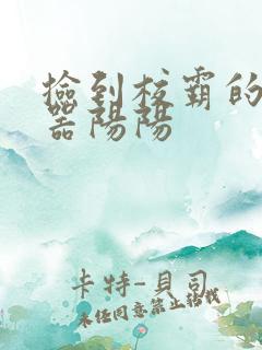 捡到校霸的遥控器阳阳