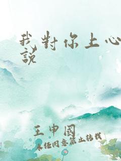 我对你上心了小说