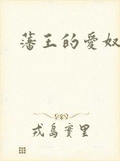藩王的爱奴