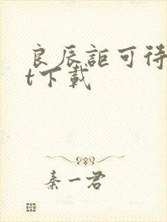 良辰讵可待txt下载