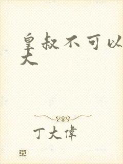 皇叔不可以 太大