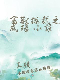 禽兽总裁之虐爱成殇 小说