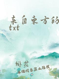 来自东方的骑士txt