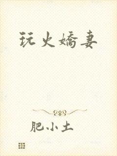 玩火娇妻