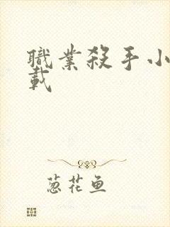 职业杀手小说下载