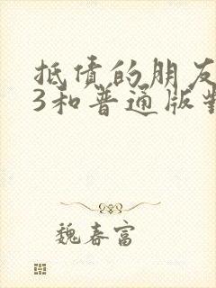 抵债的朋友麦子3和普通版对比