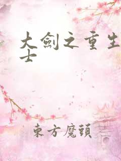 大剑之重生圣骑士