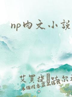 np肉文小说