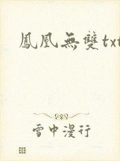 凤凰无双txt