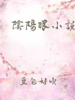 阴阳眼小说