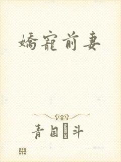 娇宠前妻