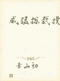 威猛总裁扑娇妻