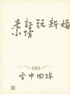 老许玩新婚少妇小倩