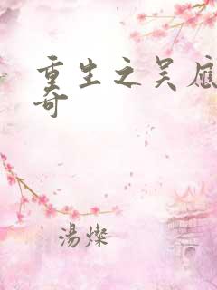 重生之吴应熊传奇