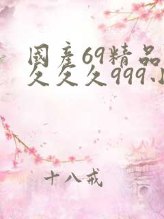 国产69精品久久久久999小说
