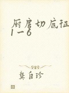 厨房切底征服岳1一6