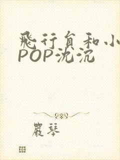 飞行员和小空乘POP沈沉