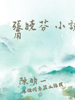 张晓芬 小说主角