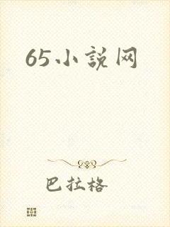 65小说网
